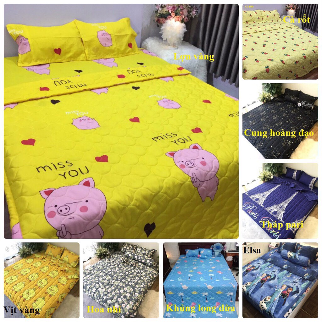 Bộ chăn hè ga gối poly cotton( CHAT ĐỂ CHỌN MẪU)