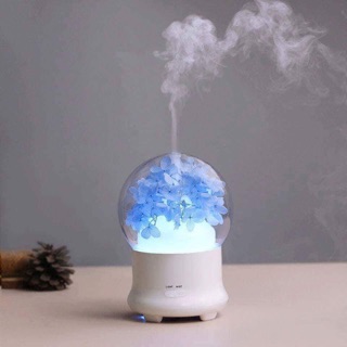 Máy khuếch tán tinh dầu Hoa Vĩnh Cửu