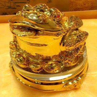 Cóc Thiềm Thừ vàng xoay
