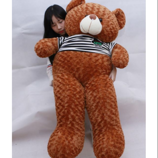 Gấu bông,thú nhồi bông teddy màu nâu, sữa,socola, brown khổ vải 1m3