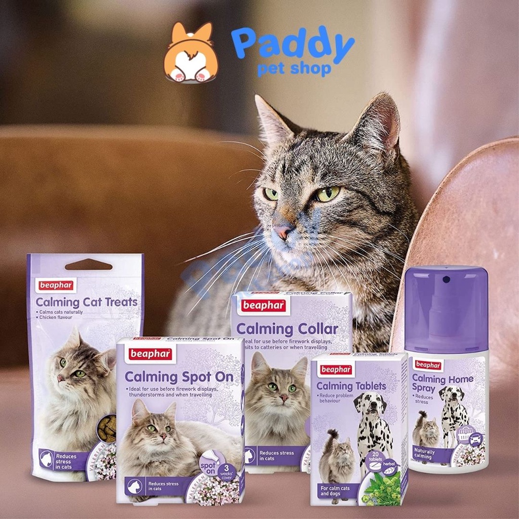 Vòng Cổ &amp; Nhỏ Gáy Giảm Stress Cho MÈO Thư Giãn Beaphar Calming