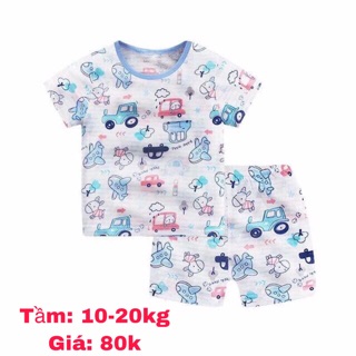Bộ cotton tre cho bé