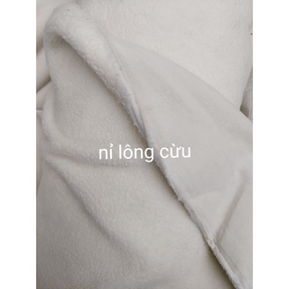 Vải nỉ lông cừu nhiều màu