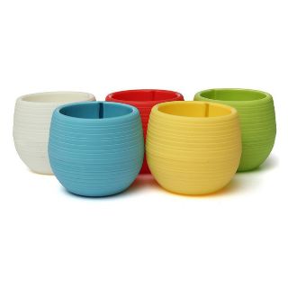 Chậu cây mini ( 1 chậu)