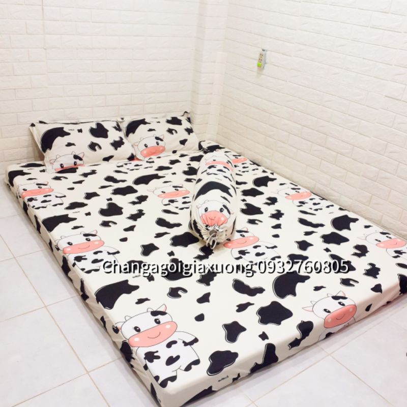 BỘ DRAP THUN HÀN QUỐC BÒ SỮA CUTE [ 4 MÓN : 1 TRẢI GIƯỜNG,  2 VỎ GỐI NẰM, 1 VỎ GỐI ÔM ].