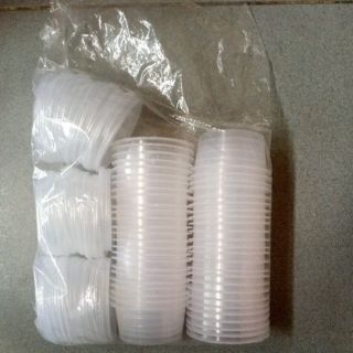 Combo 10 lốc hộp nhựa bánh Flan nhỏ