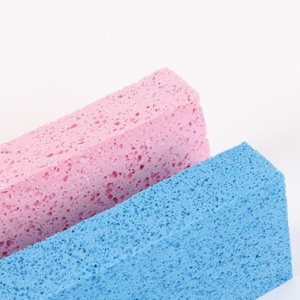 Daphs Mút Thấm Hút Nước Dùng Vẽ Tranh Nghệ Thuật