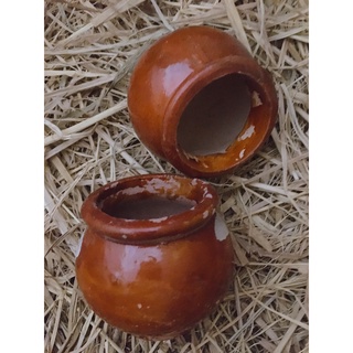 Chậu nung trồng cây mini