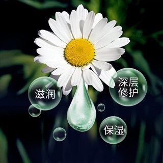 COMBO 6 Kem dưỡng Tay Hoa Cúc