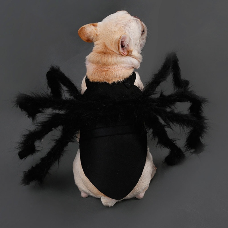 Trang PhụC Halloween Cho Thú Cưng