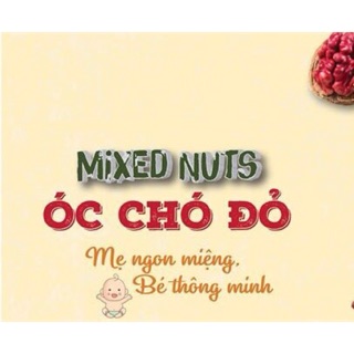 Combo 500g mix nhân chó đỏ - 10 loại hạt dinh dưỡng