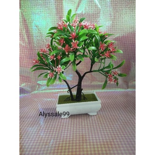 Chậu Cây Bonsai Giả Trang Trí Nhà Cửa
