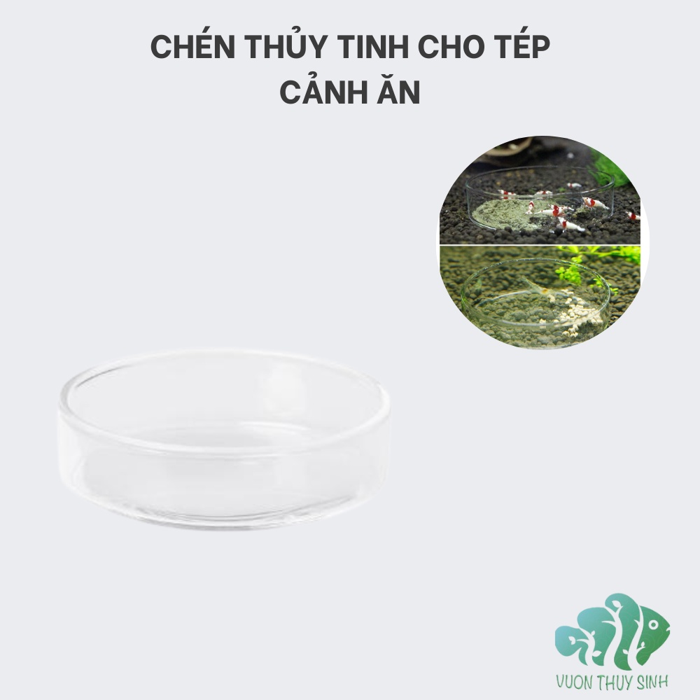 Chén thủy tinh cho tép cảnh ăn