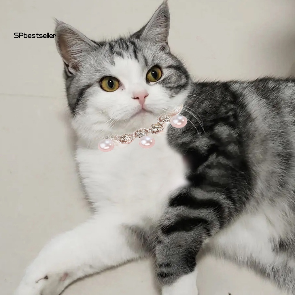 Vòng Cổ Thú Cưng Kiểu Công Chúa Không Phai Màu Làm Quà Tặng Sinh Nhật