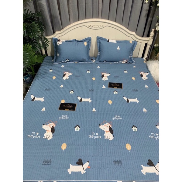 Combo 2 bộ ga gối chun trần 2mx2m2