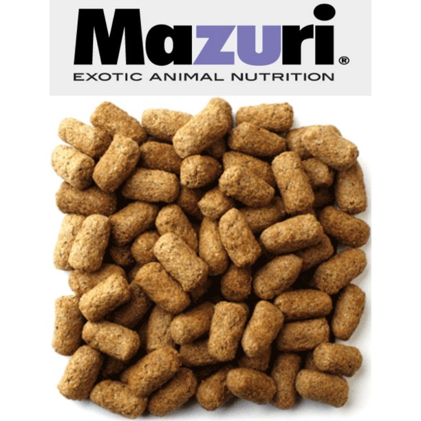 Mazuri 5M21 - Thức ăn cho Iguana và Rùa cạn - bột và hạt (gói lẻ 200gram)