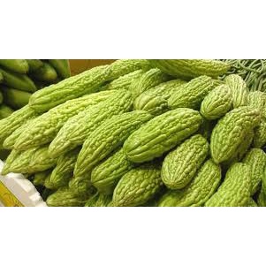 Hạt Giống Mướp Đắng(Khổ Qua) Siêu Trái F1(Gói 15 hạt)Dễ Trồng &amp;Siêu trái-Tổng kho hạt giống giá rẻ