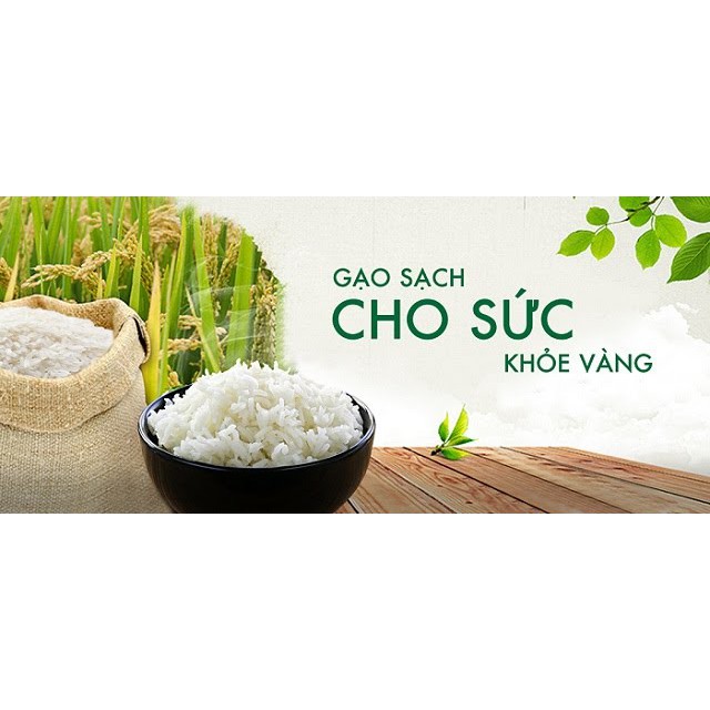 Gạo Gia Đình 5Kg hạt gạo thon dài, trong. Cơm trắng, mềm, thơm nhẹ, ngon cơm.