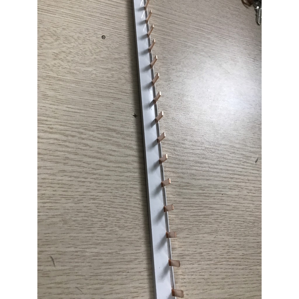 Thanh lược đồng 1P100A