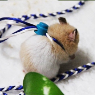 Dây dắt hamster, thỏ, Sóc , đuôi mập, chuột lang