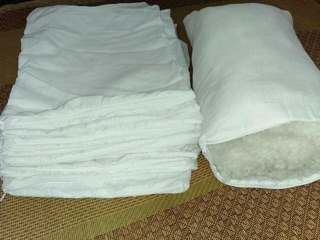 Vỏ ruột gối thay thế