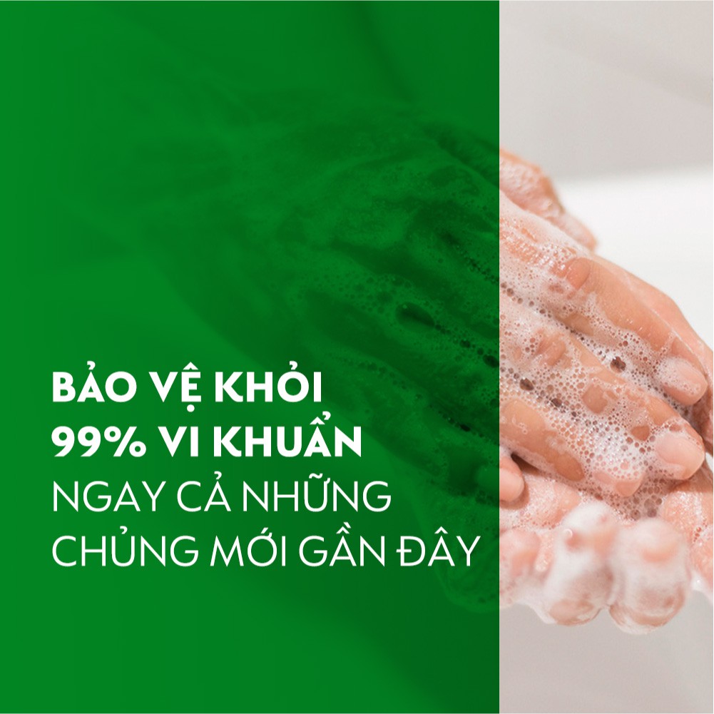 Quà Tặng Không Bán - Nước Rửa Tay Diệt Khuẩn Dettol 250g