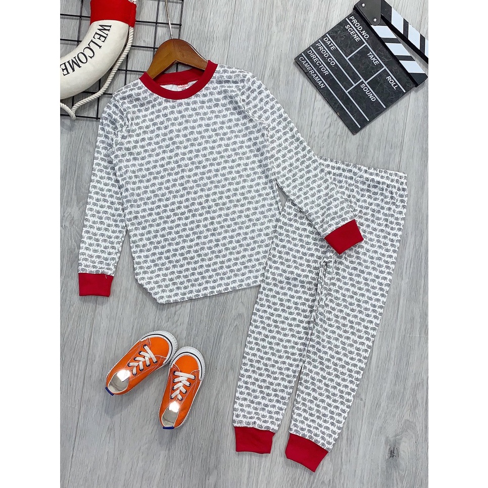 Bộ bé trai, đồ bộ bé trai dài tay size đại thun cotton VNXK Jennie kids J464