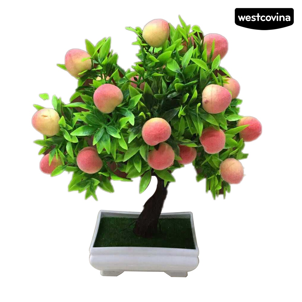 1 chậu cây bonsai hình trái đào dùng trang trí bàn