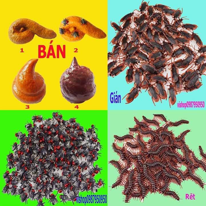 (M899) shit giả- gián -ruồi-rết-