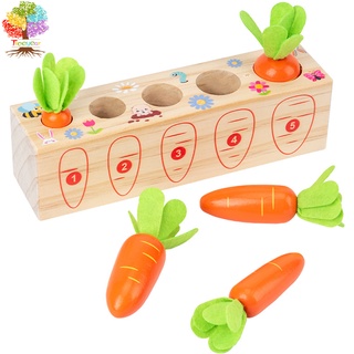 Bộ đồ chơi lắp ghép củ cà rốt Treeyear bằng gỗ cho sáng tạo bé 1 tuổi