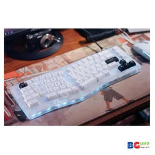 [Mã BMLT30 giảm đến 30K] Bàn phím cơ AKKO ACR Pro Alice Plus (RGB / Hotswap / AKKO CS Crystal xuyên led/ Gasket Mount)