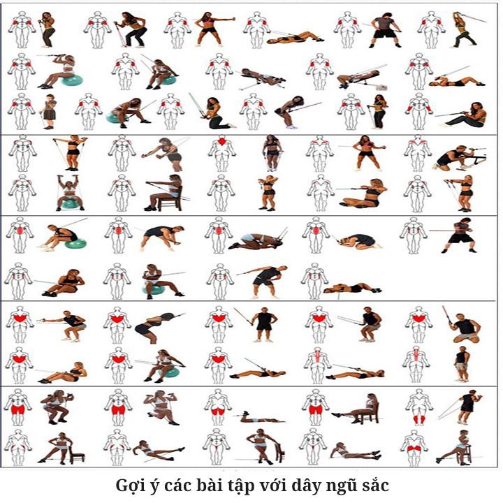 Bộ Dây Ngũ Sắc Tập Full Body - Dụng Cụ Tập Gym Tại Nhà