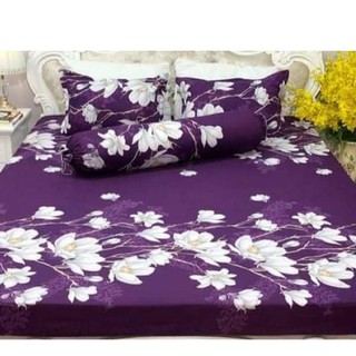 Chăn/Mền chần bông gòn mỏng đắp hè vải cotton poly hàn quốc 1m7 x 2m