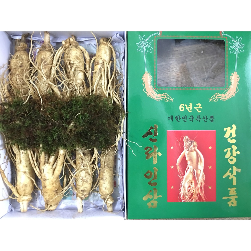 Nhân sâm tươi hàn quốc 1 củ size sâm 10-11 củ/kg