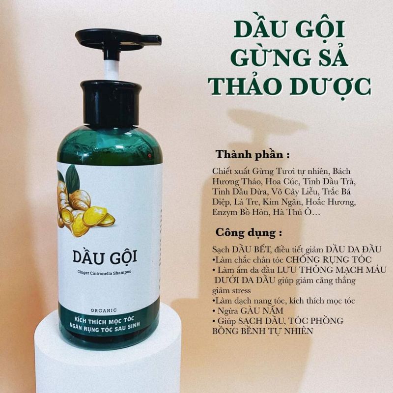 Dầu Gội Xả Thiên Nhiên Sạch Gàu, Mọc Tóc, Ngăn Rụng, Phục Hồi Tóc Khô Sơ Hư Tổn.