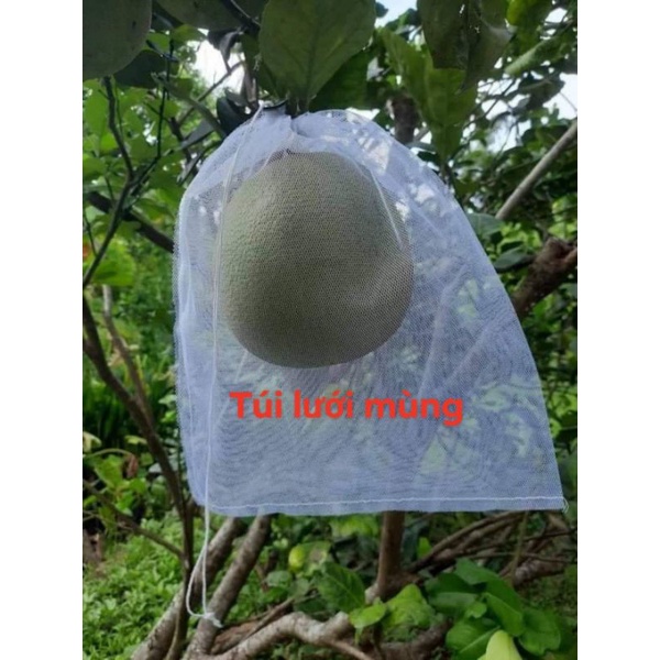 100 Túi 25x30 Lưới Mùng Bọc Bưởi, Dưa Lưới