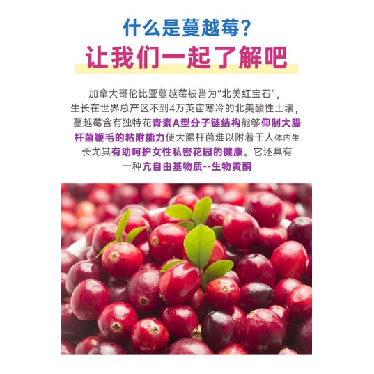 Bột nam việt quất nguyên chất Keep farm