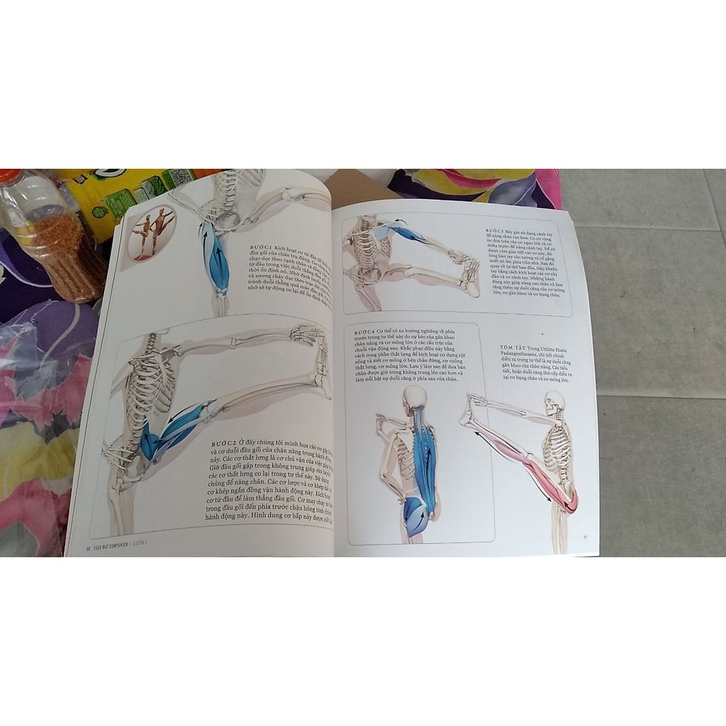 Sách Giải phẫu Các tư thế Mở Hông và Gập Người phía trước - Yoga Mat Companion 2