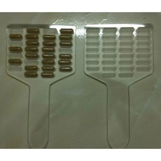 Khay đếm viên thuốc 30 viên