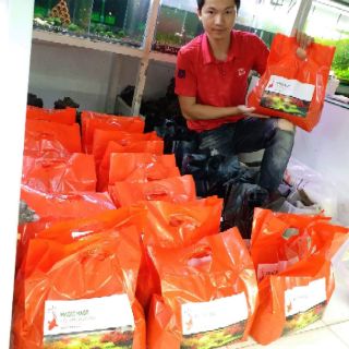 Nền MAGIC BASE