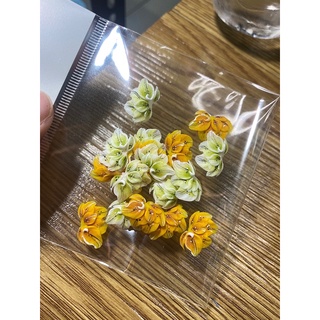 sét hoa bột nail (20 hoa)