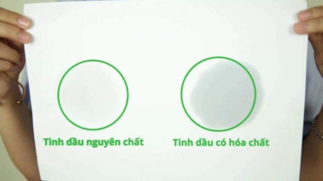 Tinh dầu tràm gió - Viện Hàn Lâm KHCN VN