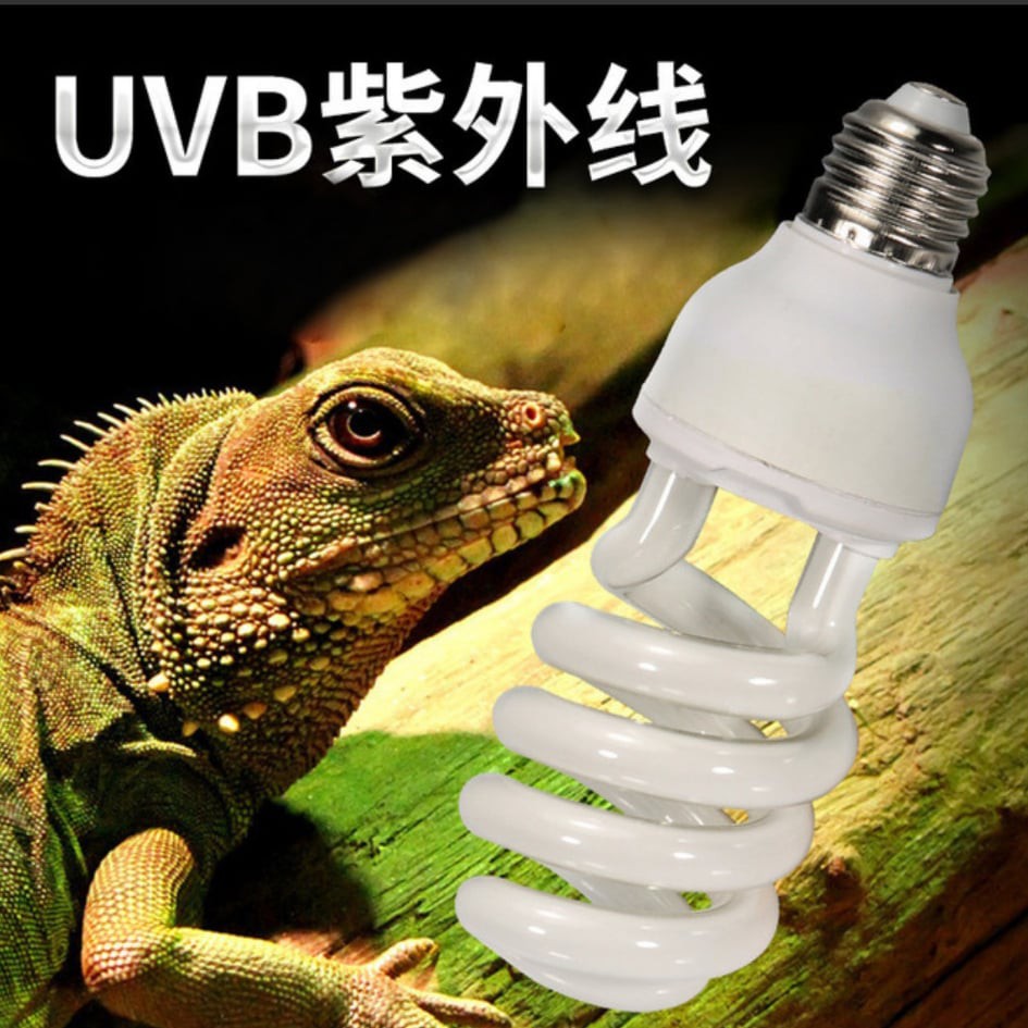 Đèn UVB 5.0 và 10.0 chuyên dụng cho bò sát- đèn uvb giúp hấp thụ canxi cho bò sát