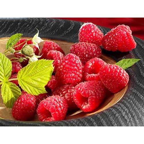 Hạt Giống Quả Mâm Xôi Đỏ 30 Hạt