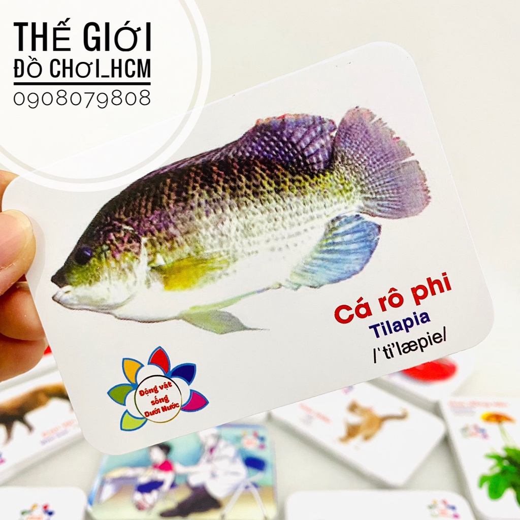 [TRỢ GIÁ- FLASHCARDS] Bộ thẻ học thông minh 416 thẻ song ngữ Anh- Việt cho bé học, phát triển tư duy, khám phá thế giới