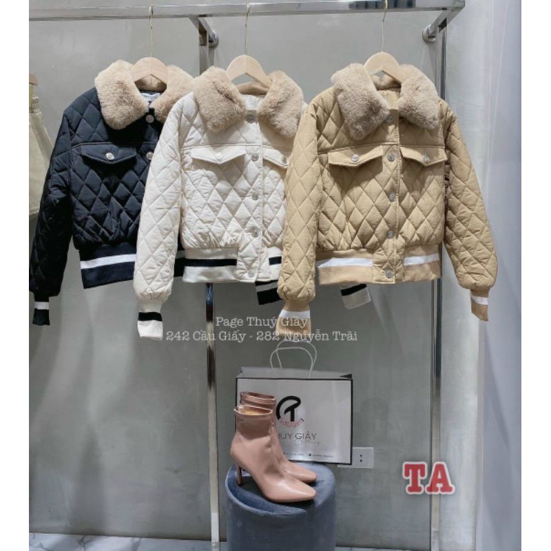 Phao trám viền gấu