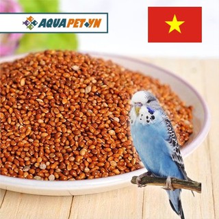 1Kg Kê đỏ thức ăn dành cho các loại vẹt, kê Việt Nam