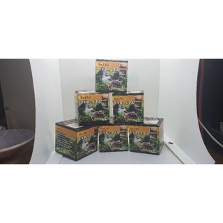Bóng Đèn UVA+UVB 75W (3.0) - BOSHI [Sưởi ấm cho Rùa, Bò Sát, Cá, Chó Mèo]