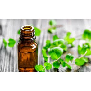 [Rẻ vô địch] - TINH DẦU BẠC HÀ ĐUỔI CHUỘT HIỆU QUẢ - 10ml | BigBuy360 - bigbuy360.vn