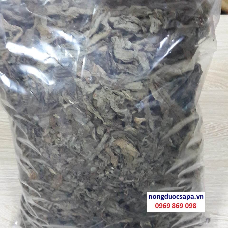 [Mã 267FMCGSALE giảm 8% đơn 500K] 1kg cây bồ công anh khô | BigBuy360 - bigbuy360.vn